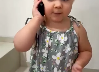 [911 MYSTERY – PART 2] THE TODDLER’S CALL AND THE FERAL PACK IN THE CLOSED HOUSE
