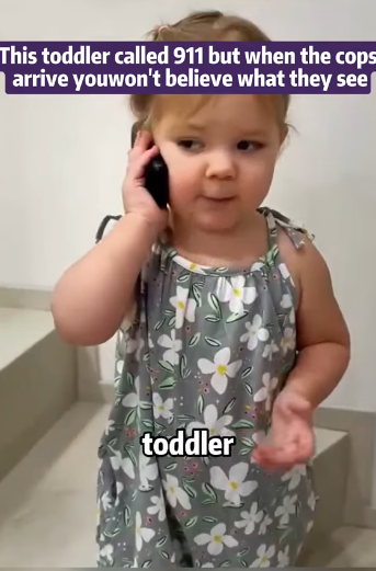 [911 MYSTERY – PART 2] THE TODDLER’S CALL AND THE FERAL PACK IN THE CLOSED HOUSE